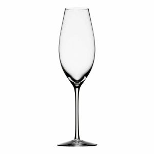 Difference Sparkling Glass | Tableware Champagne Glasses Champagne Glasses Champagne Glasses