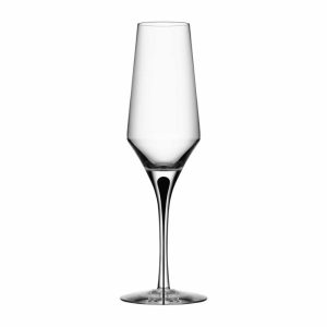 Metropol Champagne Glass 27 Cl | Tableware Champagne Glasses Champagne Glasses black